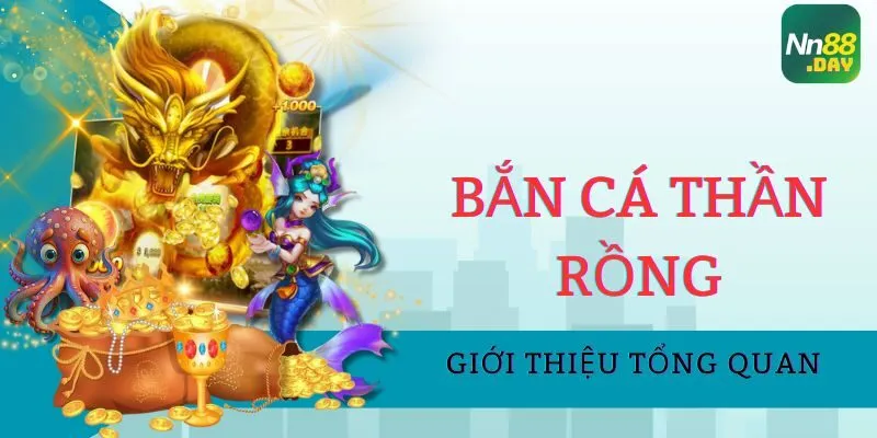 gioi-thieu-tong-quan